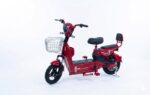 GE-WS GOLDEN EAGLE 14 INCH - Image 3
