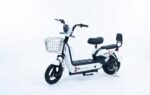 GE-WS GOLDEN EAGLE 14 INCH - Image 4