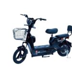 GE-WS GOLDEN EAGLE 14 INCH