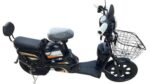 GE-WS GOLDEN EAGLE 14 INCH - Image 2